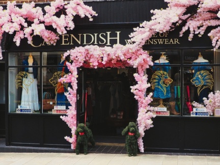 Romsey shop (1)